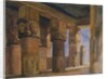 Temple of Denderah, Upper Egypt by William James Muller