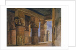 Temple of Denderah, Upper Egypt by William James Muller