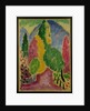 Variation, 1914 by Alexej von Jawlensky