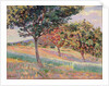 Orchard at St. Cheron, 1893 by Jean Baptiste Armand Guillaumin