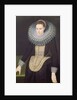 Portrait of a Lady, 1613 by Cornelis van der Voort