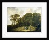 A Wooded Landscape with the Artist Sketching by Aelbert Cuyp