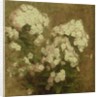 Phlox, 1870 by Ignace Henri Jean Fantin-Latour