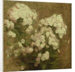 Phlox, 1870 by Ignace Henri Jean Fantin-Latour