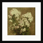 Phlox, 1870 by Ignace Henri Jean Fantin-Latour