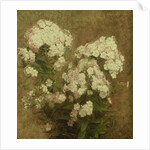 Phlox, 1870 by Ignace Henri Jean Fantin-Latour