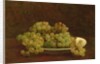 Still Life of Grapes, 1890 by Ignace Henri Jean Fantin-Latour