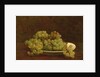 Still Life of Grapes, 1890 by Ignace Henri Jean Fantin-Latour