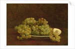 Still Life of Grapes, 1890 by Ignace Henri Jean Fantin-Latour