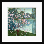 Magnolia by Wilhelm List