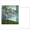 Magnolia by Wilhelm List