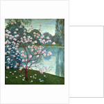 Magnolia by Wilhelm List