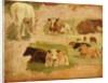 Study of Cows, c.1860 by Eugene Louis Boudin