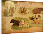 Study of Cows, c.1860 by Eugene Louis Boudin