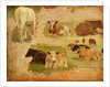 Study of Cows, c.1860 by Eugene Louis Boudin