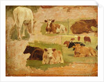 Study of Cows, c.1860 by Eugene Louis Boudin