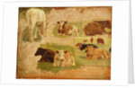 Study of Cows, c.1860 by Eugene Louis Boudin