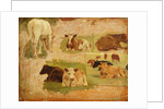 Study of Cows, c.1860 by Eugene Louis Boudin