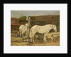 Gypsy Horses, c.1885-90 by Eugene Louis Boudin
