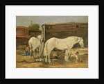 Gypsy Horses, c.1885-90 by Eugene Louis Boudin