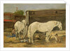 Gypsy Horses, c.1885-90 by Eugene Louis Boudin