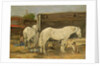 Gypsy Horses, c.1885-90 by Eugene Louis Boudin