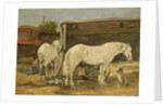 Gypsy Horses, c.1885-90 by Eugene Louis Boudin