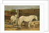 Gypsy Horses, c.1885-90 by Eugene Louis Boudin