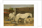 Gypsy Horses, c.1885-90 by Eugene Louis Boudin