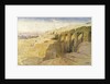 Derr, Egypt, 1867 by Edward Lear