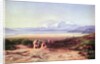 Mount Parnassus, Lake Cephissus and the Plains of Boetia, Greece, 1860 by Edward Lear