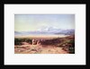 Mount Parnassus, Lake Cephissus and the Plains of Boetia, Greece, 1860 by Edward Lear