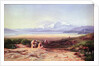Mount Parnassus, Lake Cephissus and the Plains of Boetia, Greece, 1860 by Edward Lear