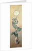 White Poppy, 1883 by Claude Monet