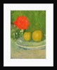 Apples and a Rose, 1905 by Alexej von Jawlensky