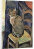 Study of a Cat, 1918 by Marie Clementine (1865-1938) Valadon