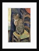 Study of a Cat, 1918 by Marie Clementine (1865-1938) Valadon