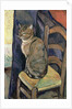 Study of a Cat, 1918 by Marie Clementine (1865-1938) Valadon