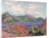 The Bay of Agay, c.1905 by Jean Baptiste Armand Guillaumin