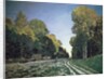 Route de Chailly, Fontainebleau, 1864 by Claude Monet