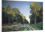 Route de Chailly, Fontainebleau, 1864 by Claude Monet