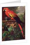 Scarlet Macaw in a Landscape by Jakob Bogdani or Bogdany