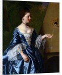 Mrs Alice Hooper, c.1763 by John Singleton Copley