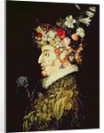 Spring by Giuseppe Arcimboldo