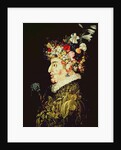 Spring by Giuseppe Arcimboldo