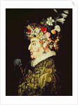 Spring by Giuseppe Arcimboldo