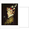 Spring by Giuseppe Arcimboldo