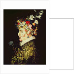 Spring by Giuseppe Arcimboldo