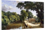 Bonchurch, Isle of Wight, 1859 by Jasper Francis Cropsey