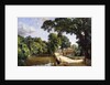 Bonchurch, Isle of Wight, 1859 by Jasper Francis Cropsey